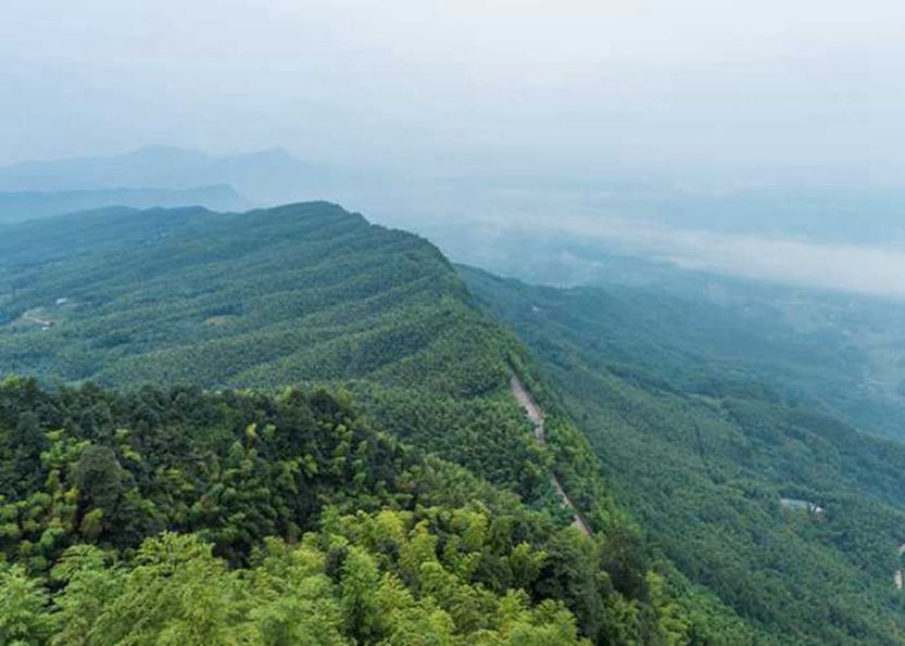 湖南旅游十大必去景区第一站，张家界，这里根本不是人间-第3张图片-四川省中国青年旅行社